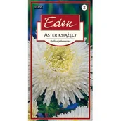 Nasiona i cebule - Aster chiński książęcy Balbinka 0,5 g Eden - miniaturka - grafika 1