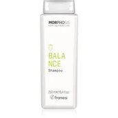 Szampony do włosów - Framesi Morphosis Balance Shampoo szampon oczyszczający do włosów przetłuszczających się 250 ml - miniaturka - grafika 1