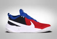 Koszykówka - Nike Team Hustle D 10 Gs Usab Olympic Team - miniaturka - grafika 1
