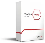 Programy finansowe i kadrowe - WAPRO Gang 365 PRESTIŻ 50 - miniaturka - grafika 1