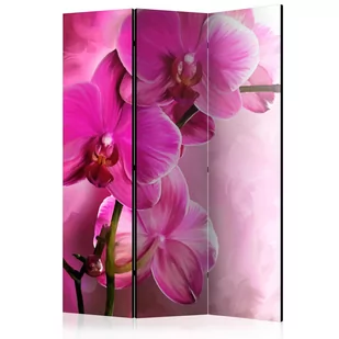 Parawan 3-częściowy - Różowa orchidea [Room Dividers] (rozmiar 135x172) - Parawany - miniaturka - grafika 1