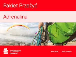 Pakiet Przeżyć Adrenalina - Wyjątkowy Prezent - kod - Kody i doładowania cyfrowe - miniaturka - grafika 1