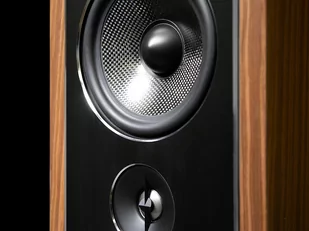 PSB Speakers Synchrony B600 SW - Głośniki i kolumny - miniaturka - grafika 4