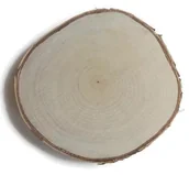 Dekoracje domu - Plaster drewna Brzoza szlifowana 20 - 25 cm / 2 cm plastry drewna JASNE PLASTRY pod nadruk / laser - miniaturka - grafika 1