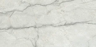 Gres Rainy Stone Natural Polished Rect 60X120 G1 - Płytki ceramiczne - miniaturka - grafika 1