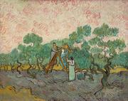 Plakaty - Plakat, Women Picking Olives, Vincent van Gogh, 100x70 cm - miniaturka - grafika 1