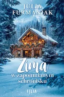 E-booki - literatura obca - Zima w zapomnianym schronisku - miniaturka - grafika 1