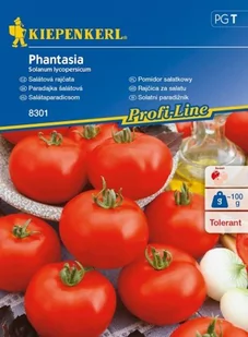 Kiepenkerl Pomidor sałatkowy Phantasia F1 Solanum lycopersicum 102358 - Nasiona i cebule - miniaturka - grafika 1