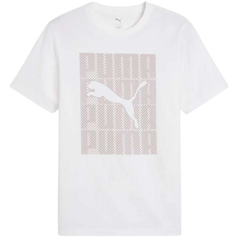 Koszulka Puma Graphics Wording Tee M 684825 02