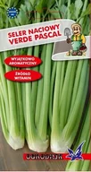 Nasiona i cebule - Seler naciowy Verde Pascal nasiona 0,5g / O / - miniaturka - grafika 1