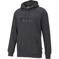 Bluzy sportowe damskie - Bluza z kapturem Puma Essentials Big Logo, Mężczyźni - miniaturka - grafika 1