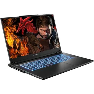 DREAMMACHINES RX4090-17PL35 17.3" 240Hz i9-14900HX 16GB RAM 1TB SSD GeForce RTX4090 - Laptopy - miniaturka - grafika 1