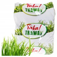 Nasiona i cebule - Nasiona trawy 2 kg Idealny trawnik w Twoim ogrodzie - miniaturka - grafika 1