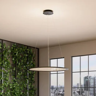 Deko-Light Lampa wisząca LED PANEL, czarna, Ø 63 cm, metal, CCT ściemniana 50 W możliwość ściemniania, czarny, biuro, aluminium, nowoczesny - Lampy sufitowe - miniaturka - grafika 1