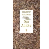 Archeologia - Dar Anioła. Przepowieści - miniaturka - grafika 1