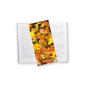 Zakładki do książek - Nowoczesna zakładka do książki, 5 sztuk - miniaturka - grafika 1