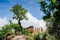 Plakaty - Galeria Plakatu, Plakat, Świątynia Hery - Agrigento, Premium, 50x40 cm - miniaturka - grafika 1