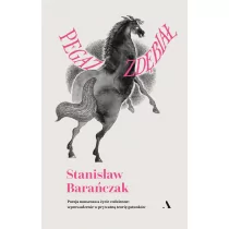 PEGAZ ZDĘBIAŁ POEZJA NONSENSU A ŻYCIE CODZIENNE WPROWADZENIE W PRYWATNĄ TEORIĘ GATUNKÓW Stanisław Barańczak - Poezja - miniaturka - grafika 1