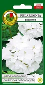 Nasiona i cebule - Pelargonia Rabatowa F1 Biała 10z PNOS - miniaturka - grafika 1