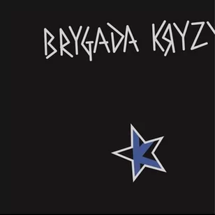 MTJ Agencja Artystyczna Brygada Kryzys MTJ - Muzyka klubowa, dance - miniaturka - grafika 1