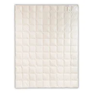 Kołdry - AMZ Szamotuły Kołdra Puchowa 240x220 Silver Letnia Puch 90% B37C-60955 - miniaturka - grafika 1