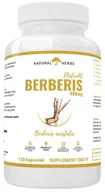 Witaminy i minerały - AltoPharma, Berberis Extract 5:1 400mg, 120 kaps. - miniaturka - grafika 1