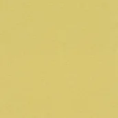 Inne - Rasch Tapeta flizelinowa  Florentine jednolita struktura Tapeta Zielony 449839 - miniaturka - grafika 1