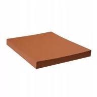 Papier do drukarek - Protos Protos Papier ksero brązowy A4 160g 50 arkuszy PROT0224 - miniaturka - grafika 1