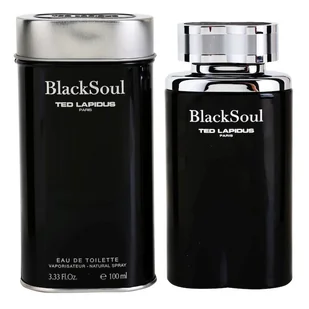 Ted Lapidus Black Soul Woda toaletowa 100ml - Wody i perfumy męskie - miniaturka - grafika 1