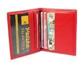 Etui na dokumenty i karty - Etui Na Karty Dokumenty HARO (PL) Małe Wzór 2 Wizytownik Skóra Włoska - miniaturka - grafika 1