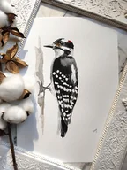 Obrazy i zdjęcia na płótnie - Akwarela dzięcioł - miniaturka - grafika 1