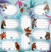 Szkolne artykuły papiernicze - BENIAMIN NAKLEJKI NA ZESZYT KPL10SZT KONIE BEN OP2SZ 24858-uniw - miniaturka - grafika 1