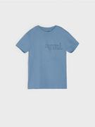 Koszulki dla chłopców - Sinsay - Koszulka z nadrukiem - błękitny - miniaturka - grafika 1