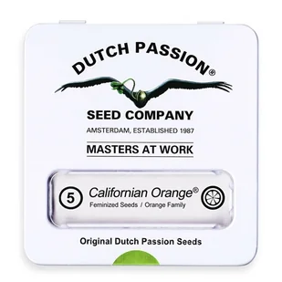 Nasiona konopi Dutch Passion - California Orange (fem) 5 szt. - Nasiona i cebule - miniaturka - grafika 1