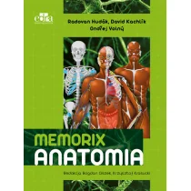 Memorix Anatomia - Hudák R., Kachlík D., Volný O. - Książki medyczne - miniaturka - grafika 1