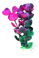 Dekoracje do akwarium - Roślina blister 10cm 1b30 Happet - miniaturka - grafika 1