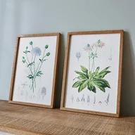 Obrazy i zdjęcia na płótnie - Obraz, zestaw 2 szt. Botanic - miniaturka - grafika 1