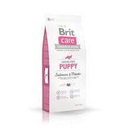 Sucha karma dla psów - Brit Care Grain-Free Puppy Salmon&Potato 1 kg - miniaturka - grafika 1
