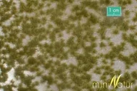 Kolejki i akcesoria - Silhouette Dwukolorowe kępy traw, wczesna jesień 15x8cm 737-23S - miniaturka - grafika 1