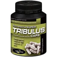 Boostery testosteronu - Vitalmax Tribulus Terrestris Super, 100 kapsułek - miniaturka - grafika 1