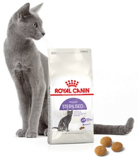 ROYAL CANIN  Sterilised 4kg karma sucha dla kotów dorosłych, sterylizowanych + niespodzianka dla kota GRATIS! - Sucha karma dla kotów - miniaturka - grafika 6