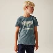 Koszulki dla chłopców - Regatta Dziecięca koszulka Bosley VIII Niebieski, Rozmiar: 164 cm - miniaturka - grafika 1