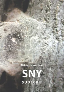 Stowarzyszenie Żywych Poetów Sny sudeckie - Miłosz Kamiński - Poezja - miniaturka - grafika 2
