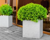 Donice - 45x45x45 cm CT - Donica betonowa (biała) - miniaturka - grafika 1