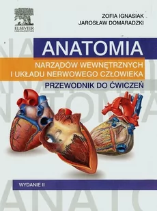 Urban & Partner Anatomia narządów wewnętrznych i układu nerwowego człowieka Przewodnik do ćwiczeń - Zofia Ignasiak, Domaradzki Jarosław - Przewodniki - miniaturka - grafika 1