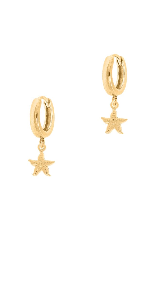 Pozłacane kolczyki z rozgwiazdami