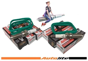 IRYDOWE XP świece zapłonowe + uszczelki kolektora ssącego Chrysler Pacifica 3,6 V6 - Układ zawieszenia - akcesoria - miniaturka - grafika 2