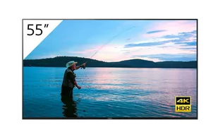 Sony FWD-55X95H/T - Monitory reklamowe i wyświetlacze - miniaturka - grafika 1