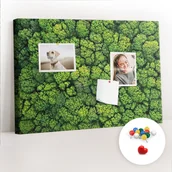 Tablice i flipcharty - Szkolna Tablica korkowa 60x40 cm, Kolorowe Pinezki, wzór Las z lotu ptaka - miniaturka - grafika 1