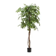 Sztuczne kwiaty - Sztuczny fikus (wysokość 180 cm) Ficus – Kave Home - miniaturka - grafika 1